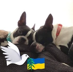 Meet your Posher, Dan